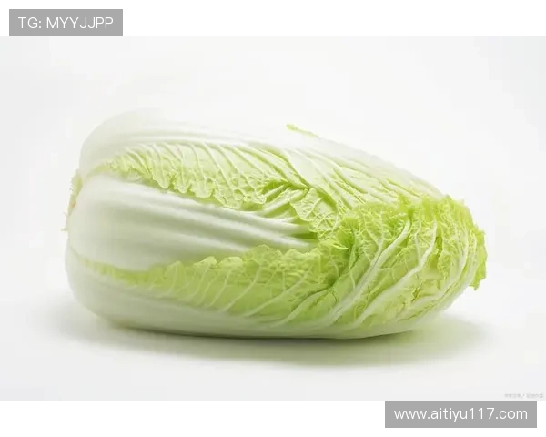 白菜哦网：探索新鲜优质蔬菜的最佳选择